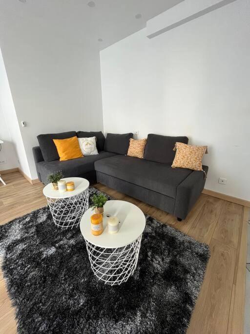 Superbe Appartement Moderne En Rez-De-Chaussee Ozoir-la-Ferriere Ngoại thất bức ảnh