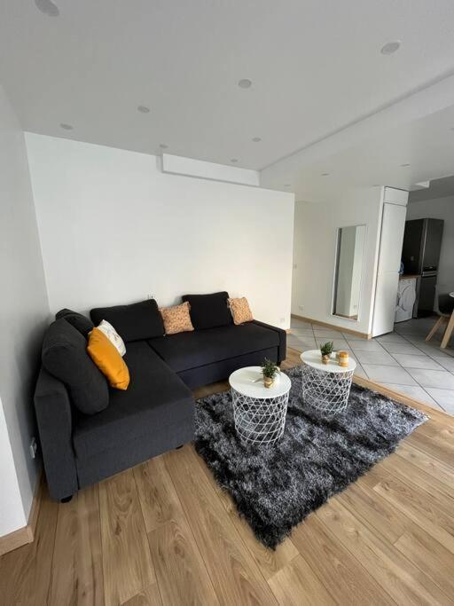 Superbe Appartement Moderne En Rez-De-Chaussee Ozoir-la-Ferriere Ngoại thất bức ảnh