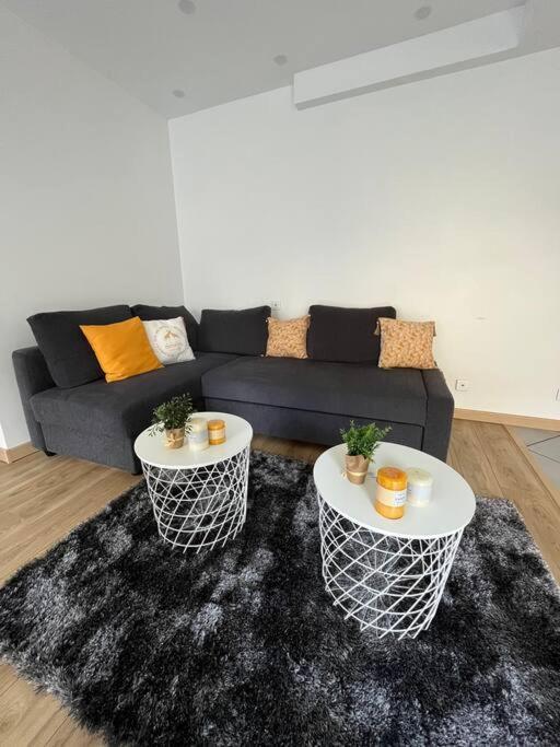 Superbe Appartement Moderne En Rez-De-Chaussee Ozoir-la-Ferriere Ngoại thất bức ảnh
